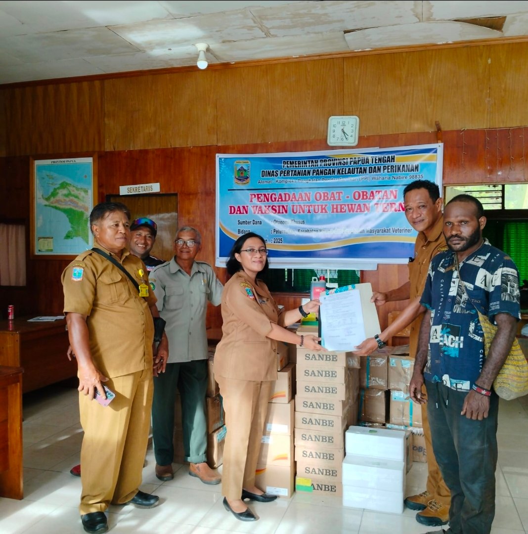 Pemprov Papua Tengah Kirim Obat Saat Anggaran Terbatas. Pemkab Nabire Kejar Penekanan Dampak Wabah ASF