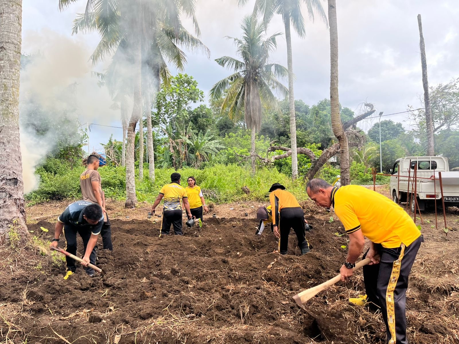 Langkah Nyata Ketahanan Pangan, Polda Papua Tengah Tanam Ratusan Bibit Uwi Ungu