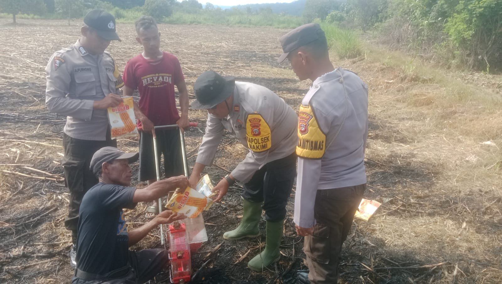 Polisi Turun ke Sawah di Nabire, 7.500 Meter Persegi Jagung Ditanam untuk Perkuat Ketahanan Pangan Nasional