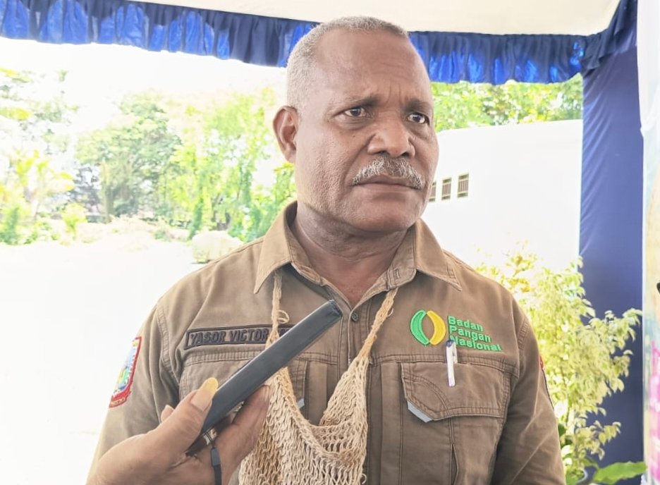 Dinas Ketapang Nabire Gaspol Tekan Harga Pangan! Daging Sapi Dipangkas Jadi Rp150 Ribu/Kg Jelang Lebaran