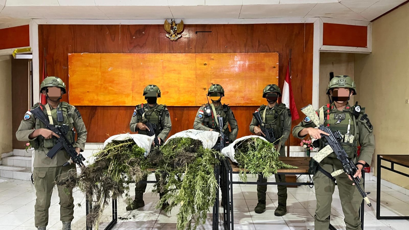Terungkap! Patroli Gabungan di Pegunungan Bintang Bongkar 2 Ladang Ganja, 226 Batang Disita
