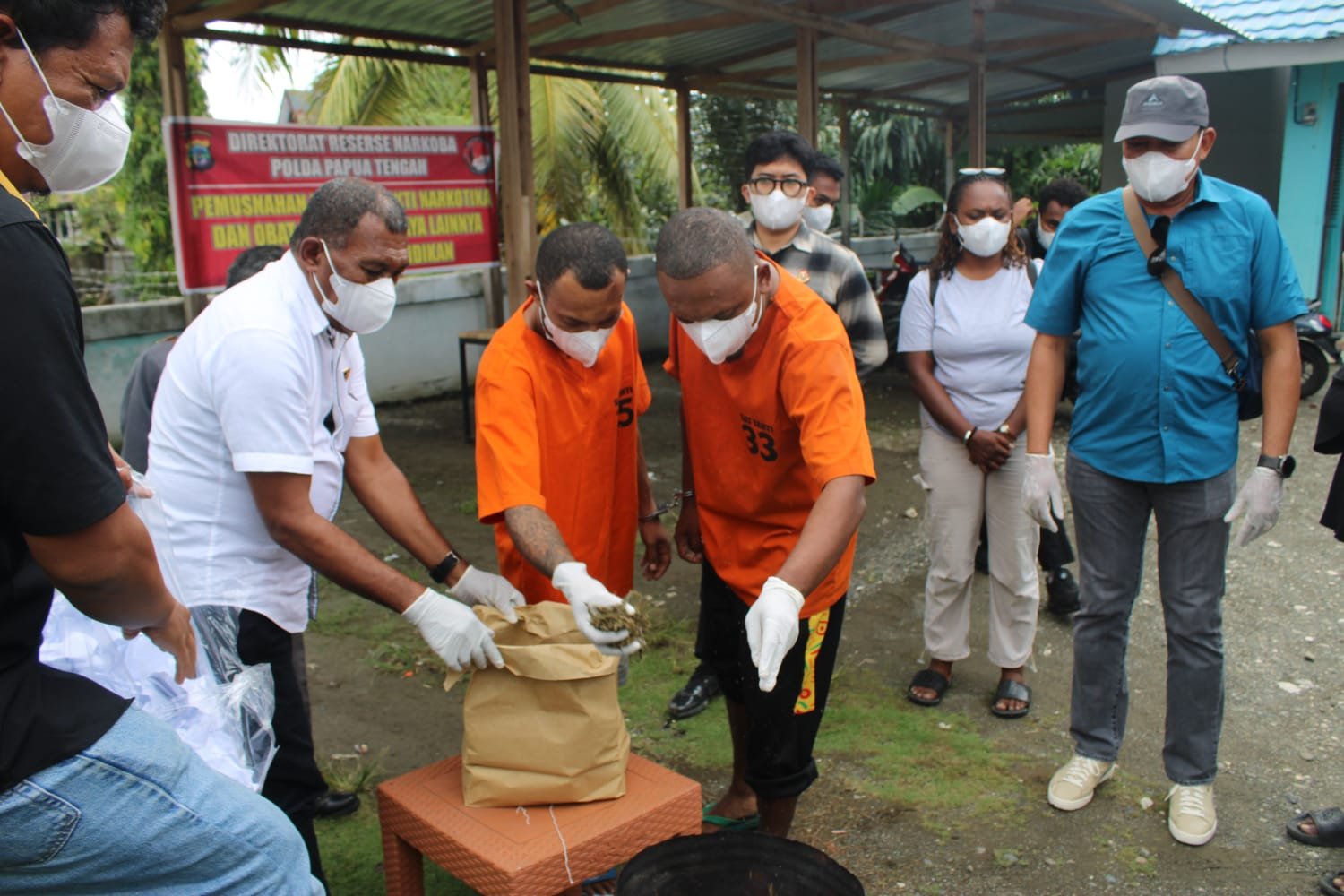 HEBOH! WN Papua Nugini Selundupkan Ganja ke Nabire via KM Gunung Dempo. Polda Papua Tengah Sita 808 Gram dan Bongkar Jaringan Laut