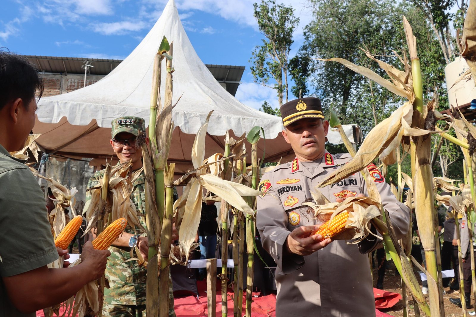 Prabowo-Kapolri Pantau Langsung Panen Raya Jagung Nasional, Kapolresta Mamuju: Swasembada Pangan Harus Jadi Gerakan Bersama
