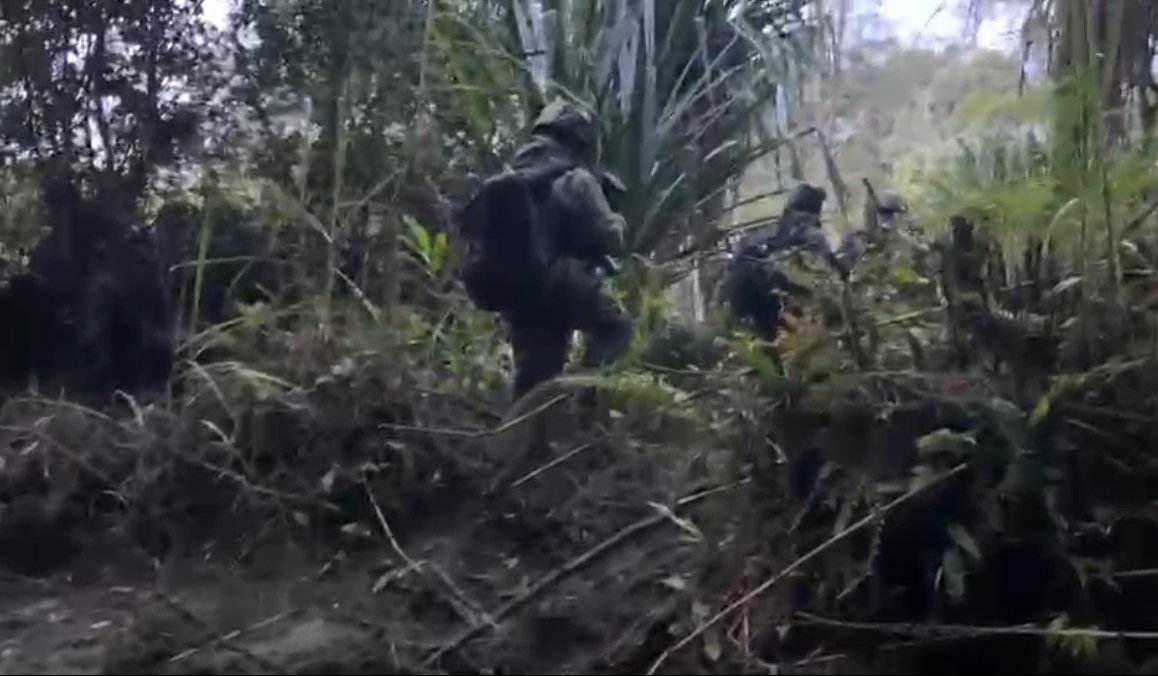 Tragis di Papua Pegunungan! 10 Pendulang Emas Tewas Dibantai di Awimbon, Aparat Kejar KKB Ronald Hiluka dan Buka Jalur Evakuasi di Hutan Lebat